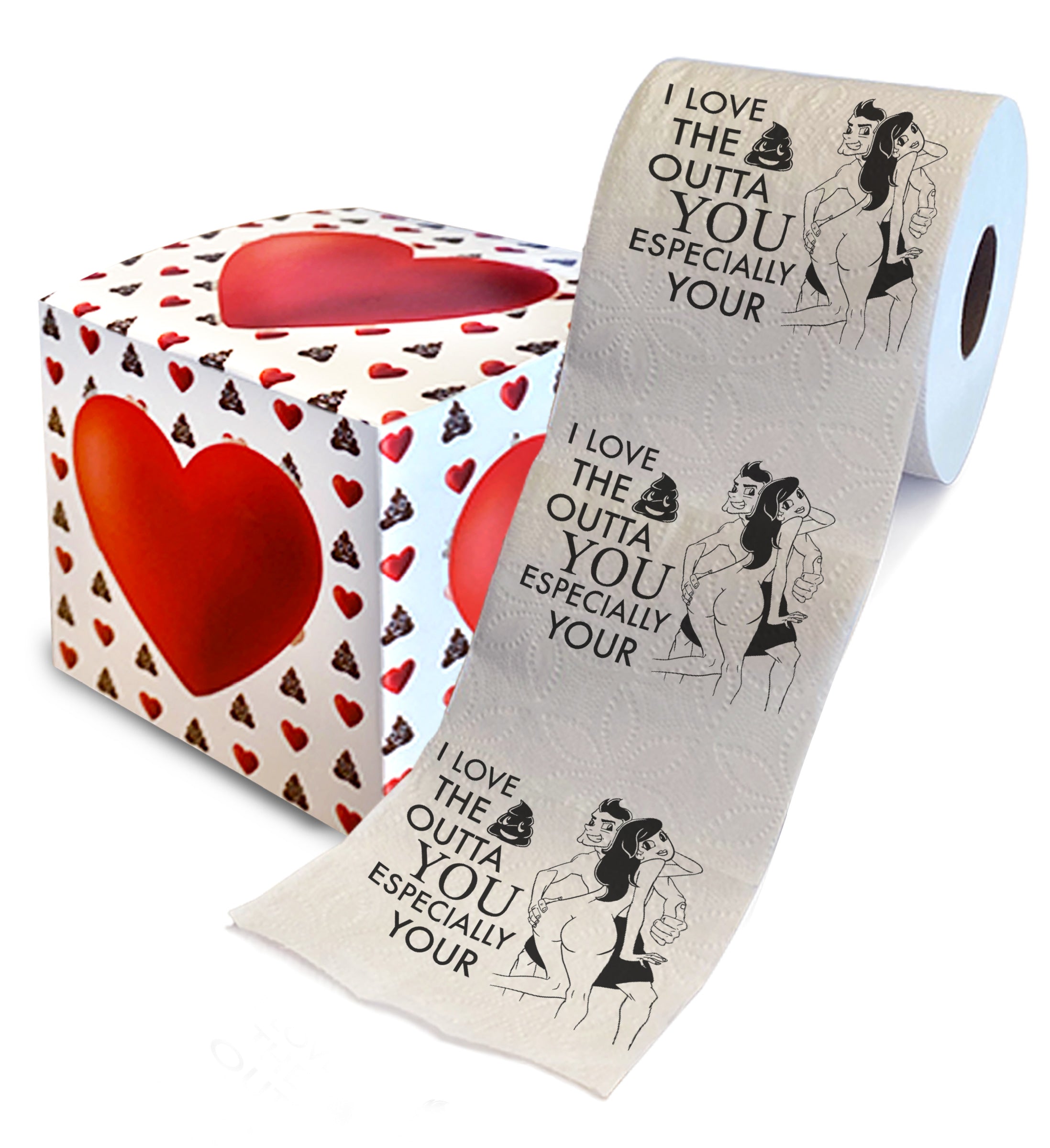 I Like Big Butts and I Cannot Lie Funny Gifts for Friends Novelty Toilet  Paper